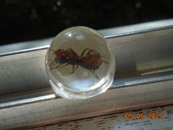 Lucite víztiszta kupolás gyűrű hangyával,vintage 1970
