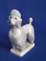 Szinte ingyen! Hibátlan Zsolnay uszkár / pudli kutya porcelán figura, Őry F.