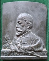 Tóth István: Jókai 1825-1904, bronz dombormű, relief