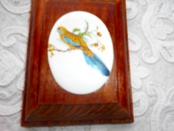 Zománc  miniatúra.Madár portréja