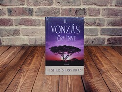 Esther Hicks - A vonzás törvénye