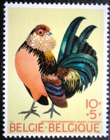 BEL1572 / Belgium 1969 Madarak - Csirke bélyeg postatiszta