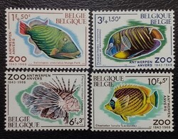 BEL1527-30 / Belgium 1968 Halak - Az antwerpeni állatkert bélyegsor postatiszta