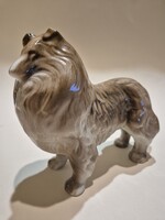 Porcelán skót juhász kutya