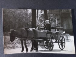 Régi  fotó kisfiú lovaskocsin  kb. 1960-es évek eleje