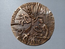 Ifjúsági nívódíj Bronz plakett   --- 1 ---