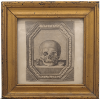 Gyermek koponya csendélettel F0764