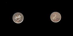 2 FORINT - 2004 - Tükörveret UNC