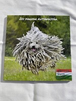 Ősi magyar kutyafajták forgalmi sor - csupán 666 példány! sorszám: 0157