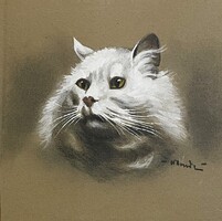 Persian cat head