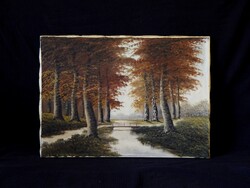 Ismeretlen festő olaj-vászon 60x80 cm-es festménye, keret nélkül (!)