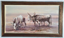 Fejér Csaba -herd-