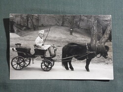 Képeslap,Budapest,Állatkert,póniló fogat látkép,részlet, 1930-