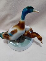 2505/11 Zsolnay porcelán kézzel festett vadkacsa pár figura