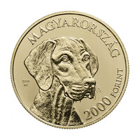 Hungarian Vizsla 2000 forint 2019 proof, with brochure