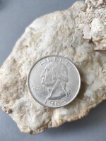 USA One Dollar pénz érme
