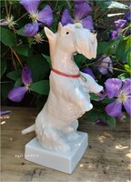 Volkstedt porcelán terrier kutya