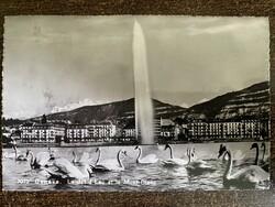 Postcard - Geneva