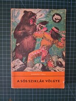 ! Hosszú Toll: A ​Sós Sziklák Völgye - 1104