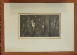 Imre szignóval ellàtott rézkarc