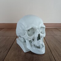 Régi Herendi Memento mori / koponya figura