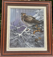 Beautiful Owl portrait by Károly Dabronaki with double frame