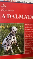 A dalmata