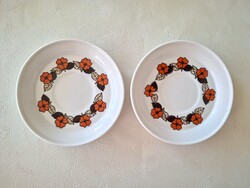 Hollóházi régi porcelán virágos csészealj 2 db
