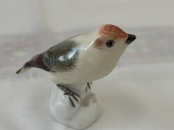 Aquincum porcelán pici madárka