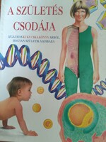 A születés csodája