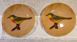Italian Bird-Decorated Glass Plate, 2 Pieces, for Breakfast or Dessert, NEW