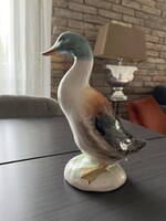 Bodrogkeresztúri kacsa