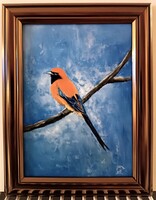 Czinóber - Madárportré III. ( 13 x 18 cm + keret, olaj )