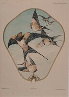 Jules-Auguste Habert-Dys 1886-87 francia muzeális minőségű litográfia 4.