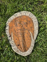 Hatalmas, valódi  trilobita/ ős rák  fosszília    -    új, sok kézműves ékszer !