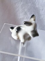 Hollóházi Ősz Szabó Antónia miniatűr ritka kiskutya ritkaság