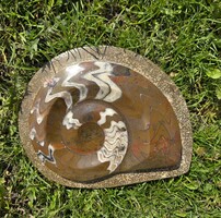 Hatalmas, valódi ammonitesz fosszília    -    új, sok kézműves ékszer !