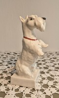 Volkstedt, német, Ens porcelángyár Skót terrier kutya /RÉGI DARAB/
