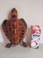 Huge turtle preparation is negotiable