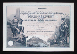 Erdélyi Egyesült Kereskedelmi Rt. részvény 400 korona 1914 - Déva /ROU/