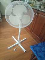 Standing fan with adjustable speed