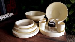 25 darabos retro design piknik készlet, 18 tányér, 5 pohár, fűszertartó, tálca