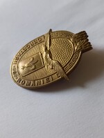 ROMÁN KIRÁLYSÁG CSERKÉSZ JELVÉNY. CERCETASII ROMÄNIEI . RITKA!