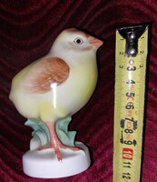 Herendi csibe