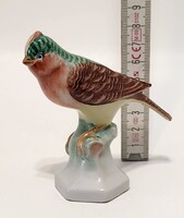 Kőbányai pinty porcelán figura (3574)