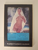 Eredeti amerikai PLAYBOY asztali naptár 1980 Kathryn Morrison Playmate USA 1980