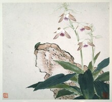 Ju Lian: Rovarok és virágok 5.1865 kínai festmény falikép reprint nyomata, orchidea bogár Ázsia