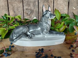 Drasche porcelán Cézár kutya