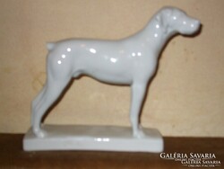 Ó  HERENDI MAGYAR VIZSLA KUTYA.