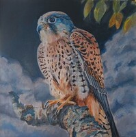 Jacsó Teodóra: Sólyom Kázmér 40x40